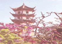 太倉西塔天氣