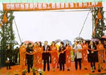 太倉中遠國際城天氣