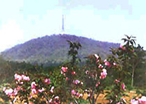 蜀山春曉天氣
