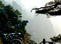 黃山仙女繡花天氣