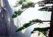 黃山回音壁天氣