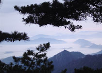 黃山清涼臺天氣