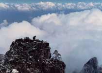 黃山十八羅漢望南海天氣