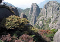 黃山桃花峰天氣