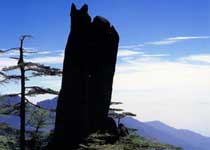 黃山仙人飄海天氣
