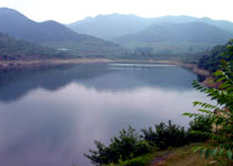 威海里口山國家森林公園天氣