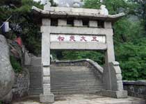 泰山五大夫松天氣
