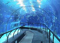 日照海洋館天氣
