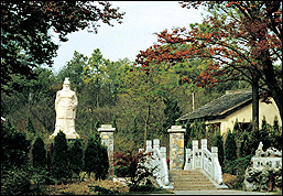 南京孫權墓天氣
