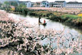 無錫陽山生態(tài)桃源天氣