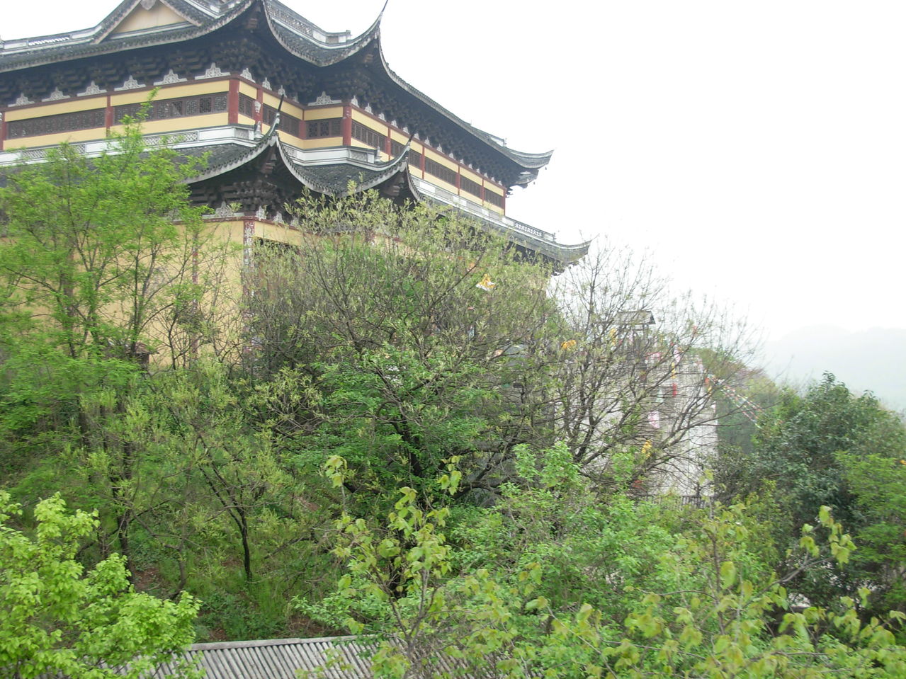 宜興善卷天氣