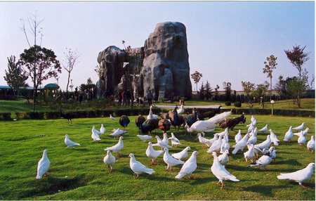 徐州環(huán)城國家森林公園天氣