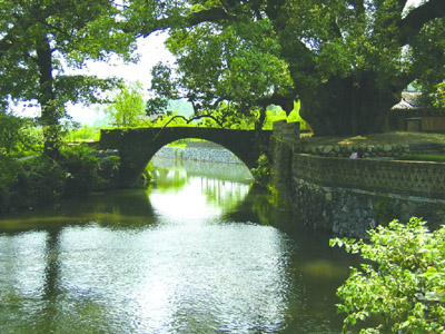 蘇州吳縣古樟園天氣