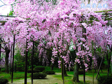 淮安櫻花園天氣