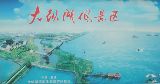 鹽城大縱湖天氣