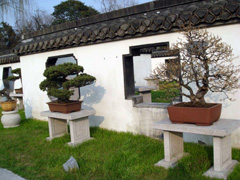 揚州盆景園天氣