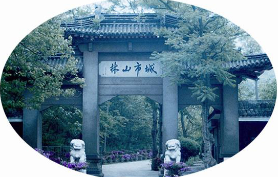 鎮江南山天氣