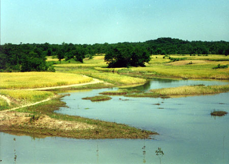 宿遷嶂山森林公園天氣