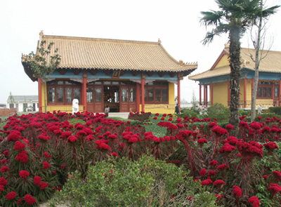 泰州東方禪寺天氣