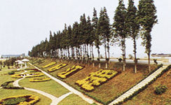 泰州江堤風(fēng)光帶天氣