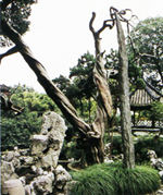 興化鄭板橋紀念館天氣