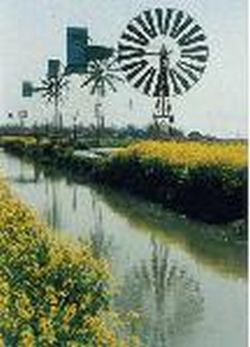 興化垛田風光帶天氣