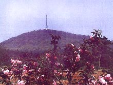 合肥大蜀山森林公園天氣