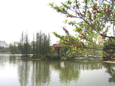 合肥植物園天氣