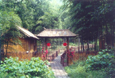 馬鞍山濮塘天氣