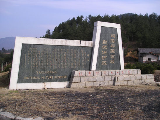 安慶鷂落坪天氣