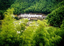 黃山距黟木坑天氣