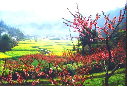 黃山休寧農業高科技園天氣