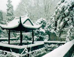 滁州清流瑞雪天氣