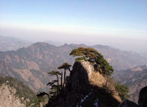 六安萬佛山天氣
