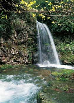 宣城柏枧山天氣