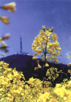 宣城敬亭山天氣