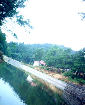 巢湖東庵森林公園天氣
