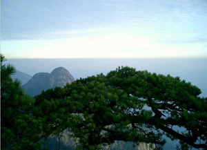 池州大歷山天氣