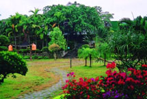 亳州譙東鎮(zhèn)藥用植物園天氣