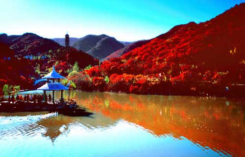 濟南紅葉谷生態文化旅游區天氣