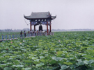 章丘白云湖天氣