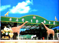 濟南野生動物園天氣