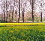 濟南黃河森林公園天氣