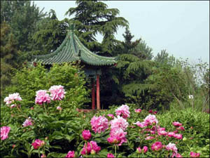 濟南植物園天氣