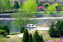 平度喬家龍灣公園天氣