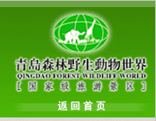 青島森林野生動物世界天氣