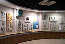 青島海產博物館天氣