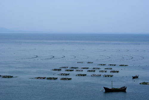青島膠南靈山島天氣