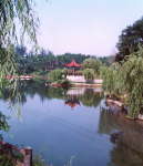 淄博玉黛湖莊園天氣