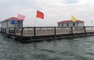 長島順祥海上釣魚臺天氣